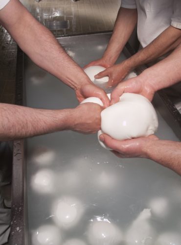 mozzarella